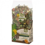 JR Grainless HEALT MIX 600g- činčila, degu