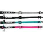Cat collar with My Home address tag