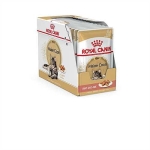 FBN WET MAINECOON 12x85G