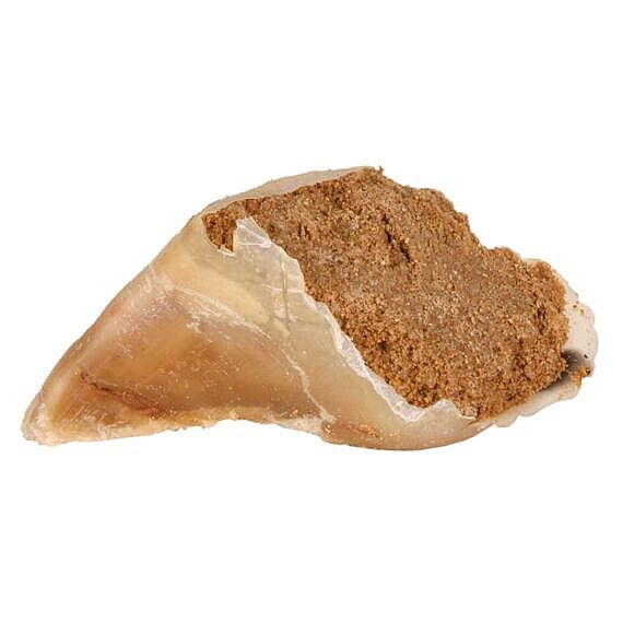 56b1f7146f52fd70b5b1b6185bde5ae1f07a4511 Chewing hoof with filling, bulk 115 g – Obrázok 1
