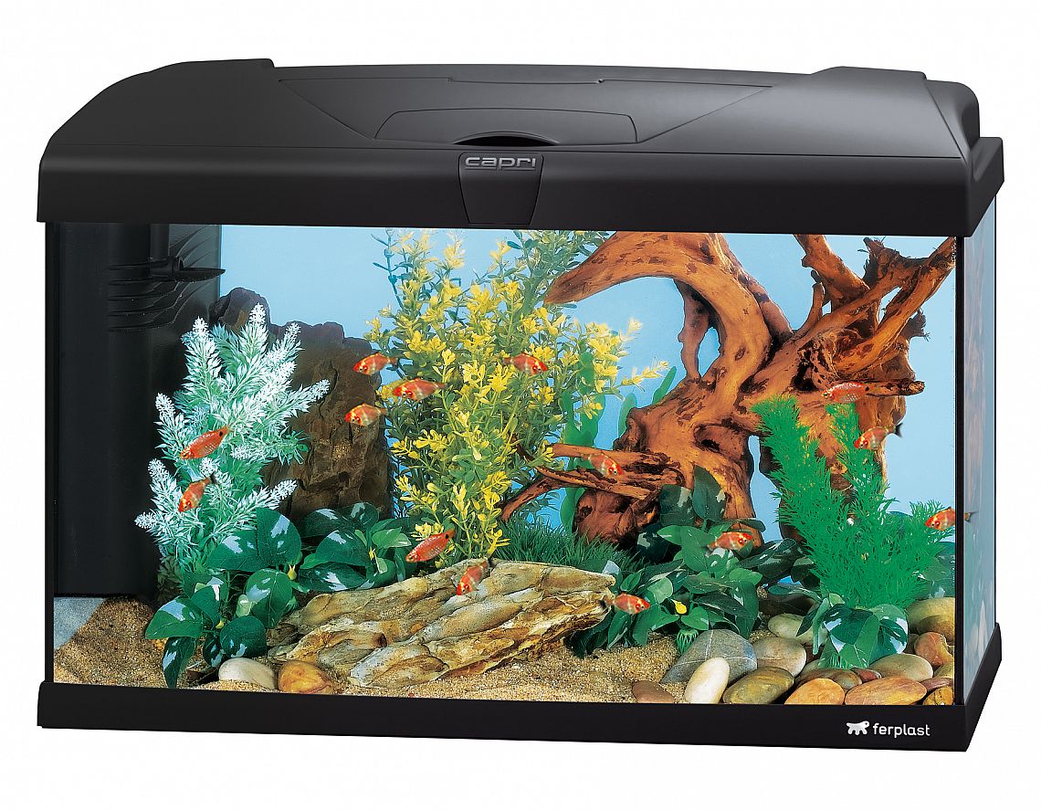 596b3a57378ca11da9f343c90773bade2f117bdf CAPRI 60 LED BLACK AQUARIUM – Obrázok 1