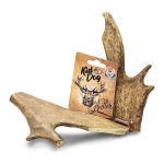 KD Antler, daniel paroh celý - XL