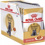 FBN WET BRITISH SHORTHAIR 12x85g
