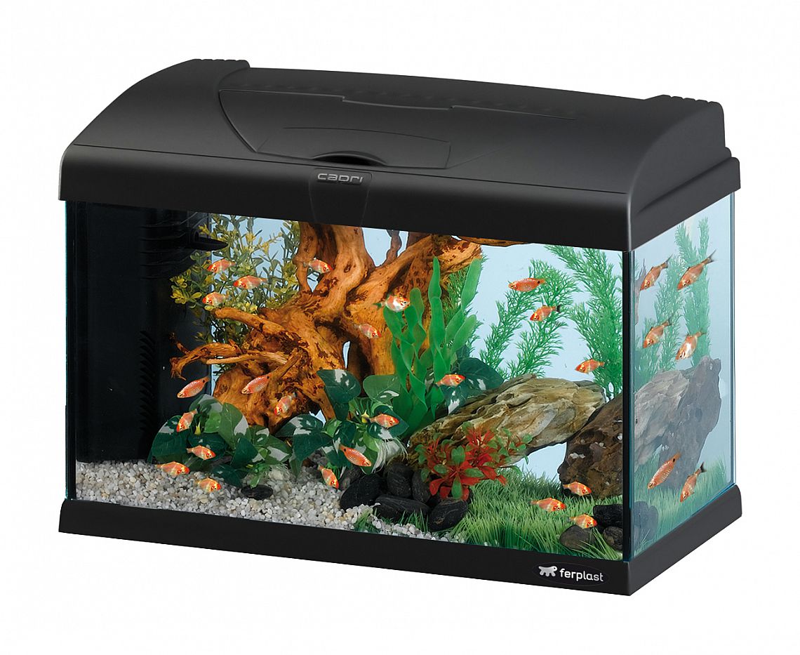 825b65500addf2c257359595b80203ecb21824e4 CAPRI 50 LED BLACK AQUARIUM – Obrázok 1