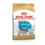 BHN CHIHUAHUA PUPPY 500 g