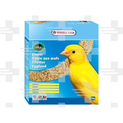OBC015371 1506346646
