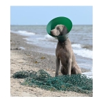 Golier ochranný BUSTER Green Ocean 25 cm 5 ks