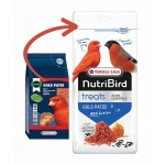 VL ORLUX GOLD PATEE red 250g
