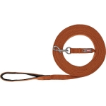 Tracking leash, cotton, M–L: 10 m/20 mm, rust