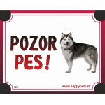 Tabulka POZOR PES  - malamut