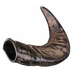 cfe133f8b189ec21b496ddd0346d9cc5c2968660 Natural buffalo (bovine) chewing horn, medium – Obrázok 1