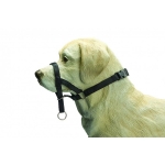 DOG CONTROL 2  ohlávka na psa 24cm