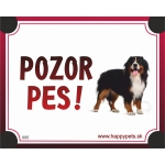 Tabulka POZOR PES  - bernsky salasnick