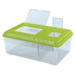 CONTAINER GEO FLAT LARGE