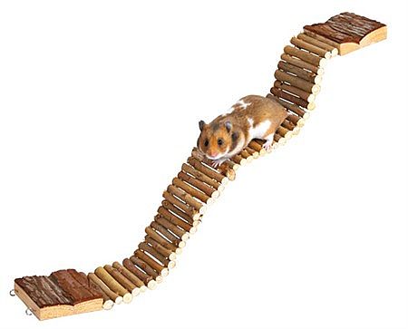 e714b81e7bdb15dff7e42745600295ecccbf5c99 Ladder, hamsters, bark wood, 55 × 7 cm – Obrázok 1