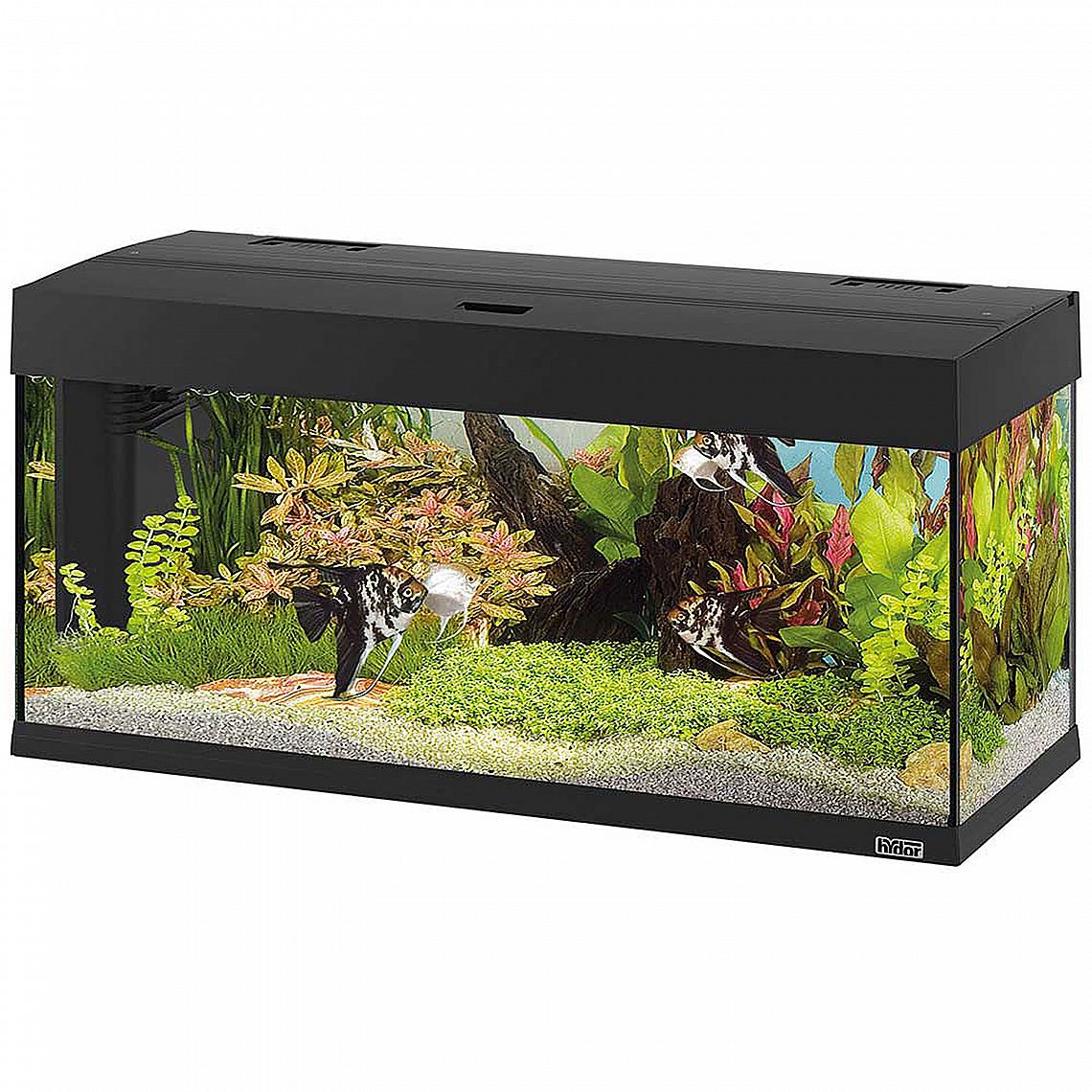 eb4941074d05013e4050250aaa1265a6e59d017b DUBAI 100 AQU.BLACK – Obrázok 1