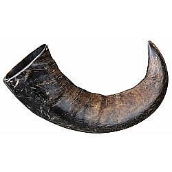 f49cefa9ed3107d30b26ede2fb8ac7191c0f43d0 Natural buffalo (bovine) chewing horn, large – Obrázok 1