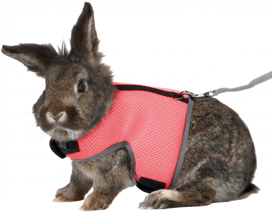 fc38c62800934776ad0ee03c66bbdc3a0f721ddd Soft harness with leash, large rabbits, 25–40 cm, 1.20 m – Obrázok 1